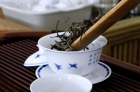 女性饮用普洱茶的危害