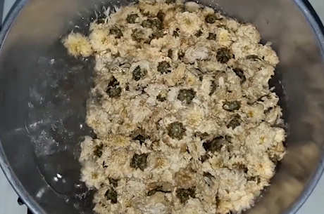 红茶和菊花能一起泡吗？