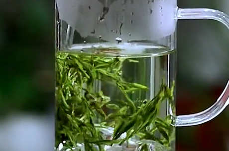 绿茶生气还是降火？