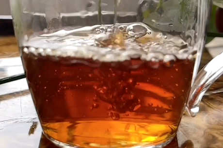 福鼎白茶的特点