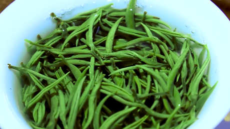 茶的品种