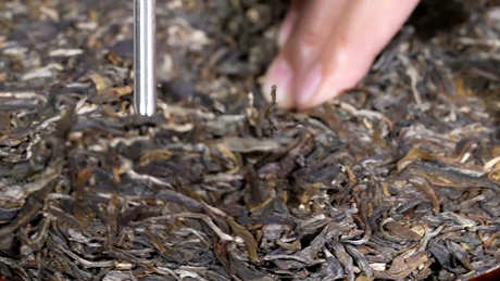 贺开古树茶的特点