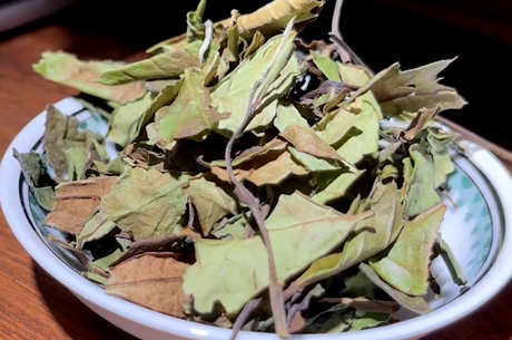 喝白茶有什么好处？