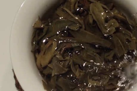 落水洞古树茶的特点