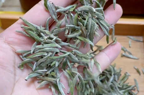 茶的基础知识