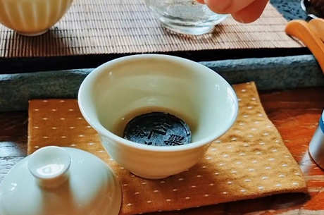 茶的基础知识