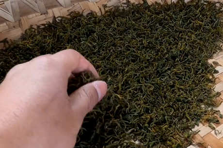 茶的基础知识