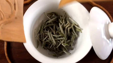 如何泡白茶是正确的方法