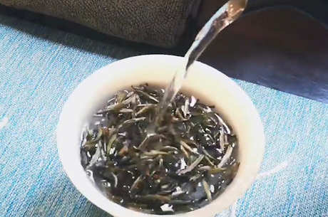 如何泡白茶是正确的方法