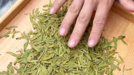 新茶是什么意思？