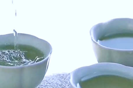 新茶是什么意思？