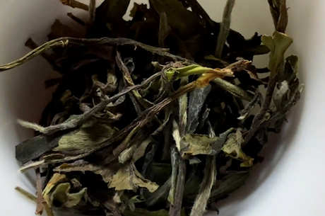 四级白茶