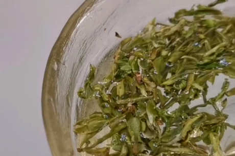 女性喝绿茶的好处和坏处