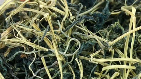 绞股蓝茶有什么作用？