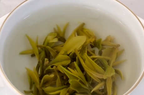 经常喝茶的好处和坏处