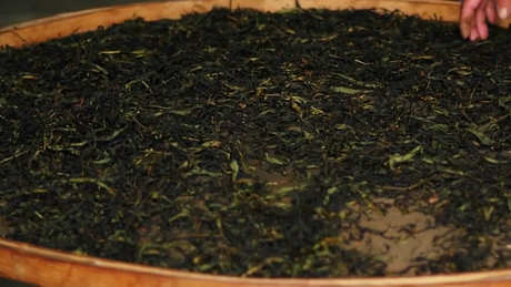 单丛茶是绿茶吗？