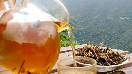 绞股蓝是什么茶？