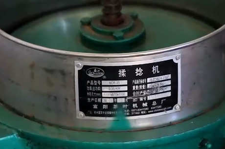 绞股蓝茶的制作方法