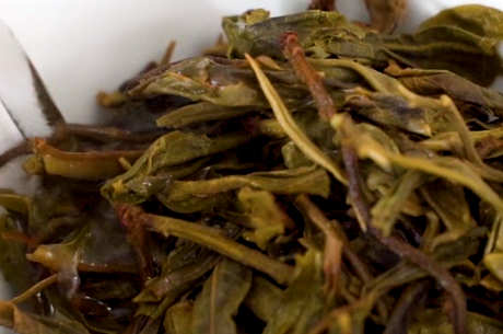 坝糯古树茶的特点