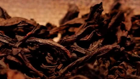 哪种茶适合泡功夫茶？