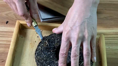 冰岛普洱茶是生茶还是熟茶