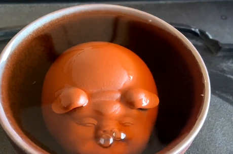 茶宠会死吗？