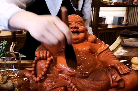 茶宠会死吗？