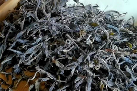 磨烈古树茶的口感特点