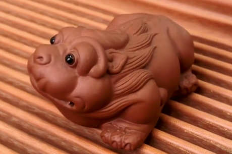 为什么要养茶宠喝茶？