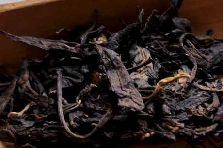 冰岛是生茶还是熟茶
