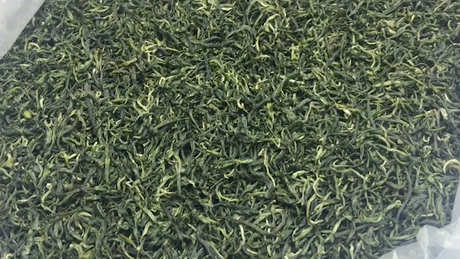 什么是云雾茶？