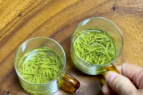 什么是云雾茶？
