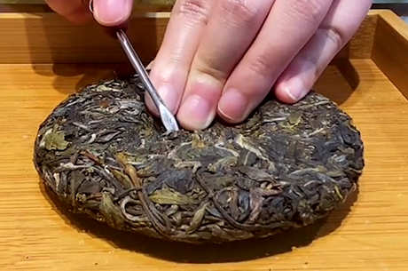 白莺山古树茶的特点