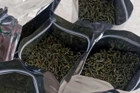 云茶是绿茶吗？