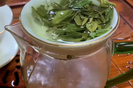 云茶是绿茶吗？