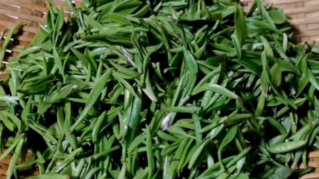 八宝茶用什么茶？