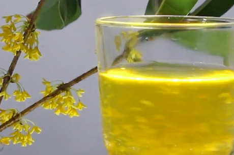 什么是健胃茶？