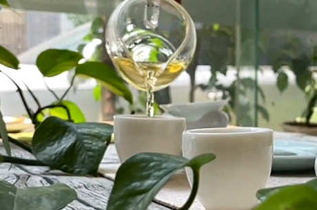 什么茶适合功夫茶？