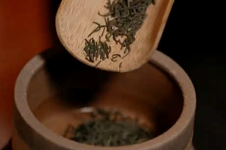 什么茶适合功夫茶？