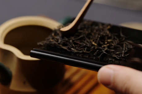 功夫茶有哪些品种？