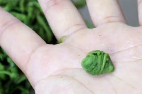 桑叶茶属于什么茶？