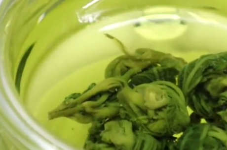 桑叶茶属于什么茶？