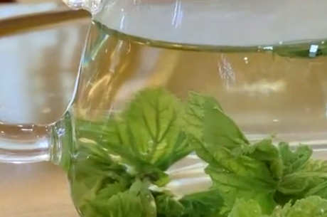 桑叶茶的用途