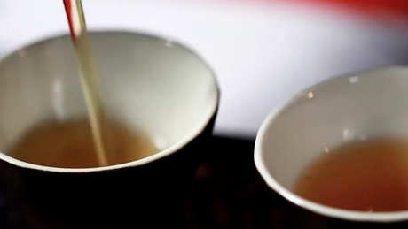 高山茶有哪些品种？
