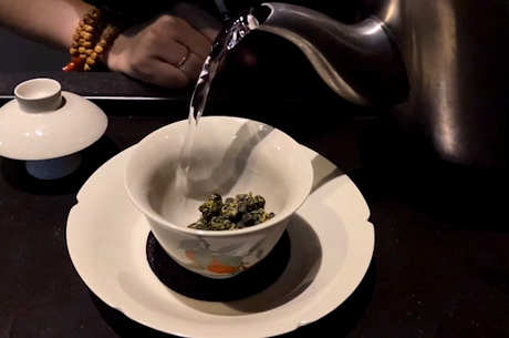 高山茶有哪些品种？