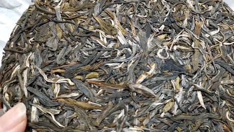 冰岛属于哪个茶区？