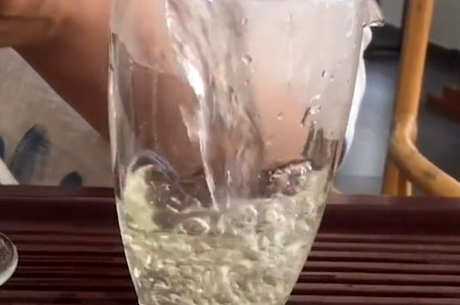 建德苞茶属于绿茶吗？