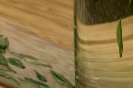 枸杞芽茶属于什么茶？