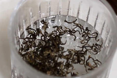 十大名茶的功效和作用