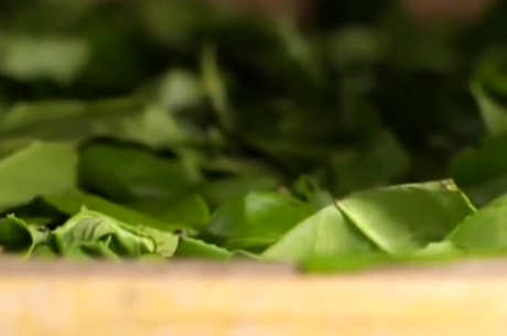 十大名茶的功效和作用